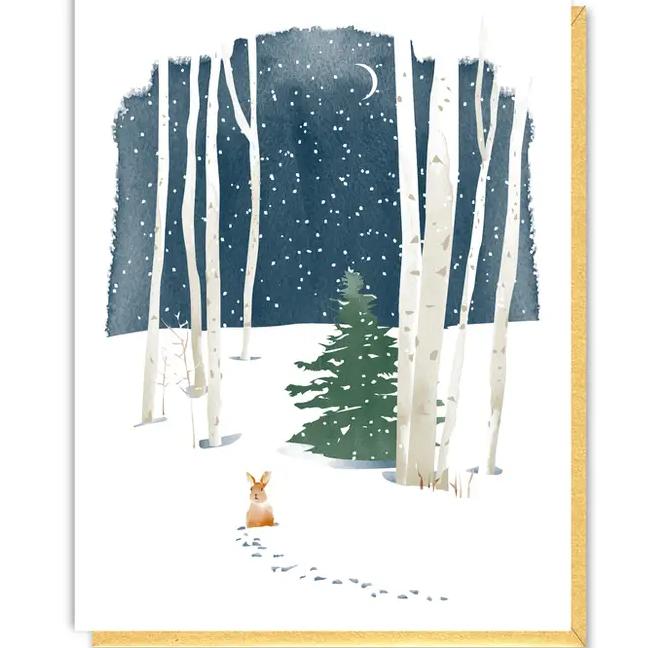 Driscoll Design|Greeting Cards |Box of 8 Cards