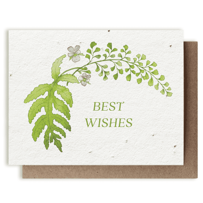 Small Victories| Plantable Herb Note Cards