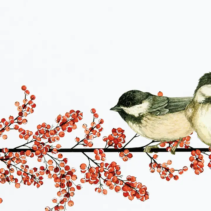 Deluxe Holiday Cards|Peter Pauper Press|20 Cards