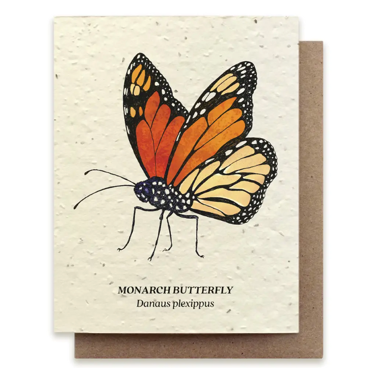 Small Victories |Plantable Wildflower Note Cards
