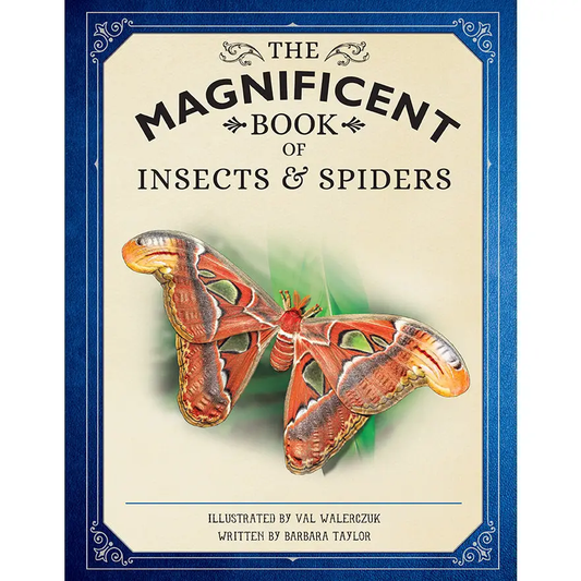 Magnificent Book of Insects & Spiders|Barbara Taylor