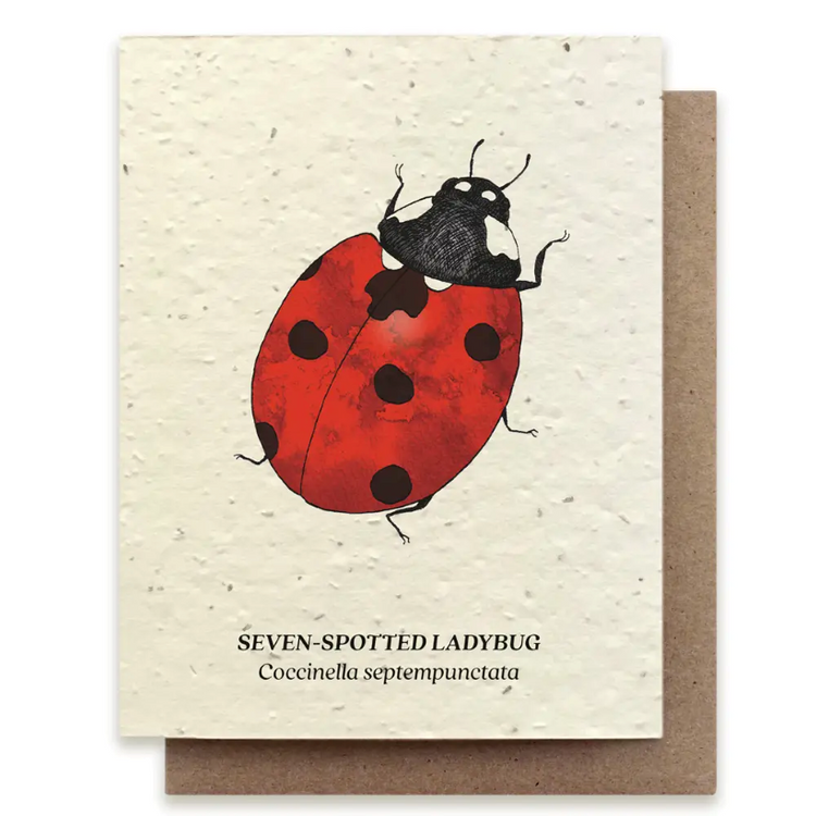 Small Victories |Plantable Wildflower Note Cards