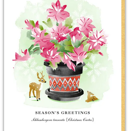 Driscoll Design|Greeting Cards |Box of 8 Cards