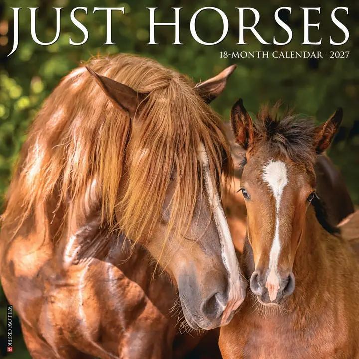 Willow Creek Press | 12-18 Month Calendar