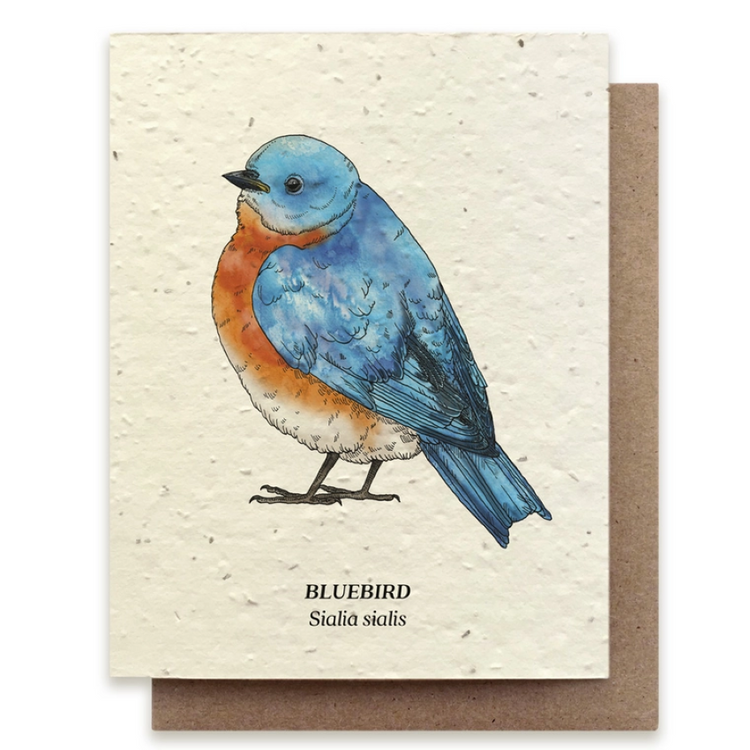Small Victories| Plantable Herb Note Cards