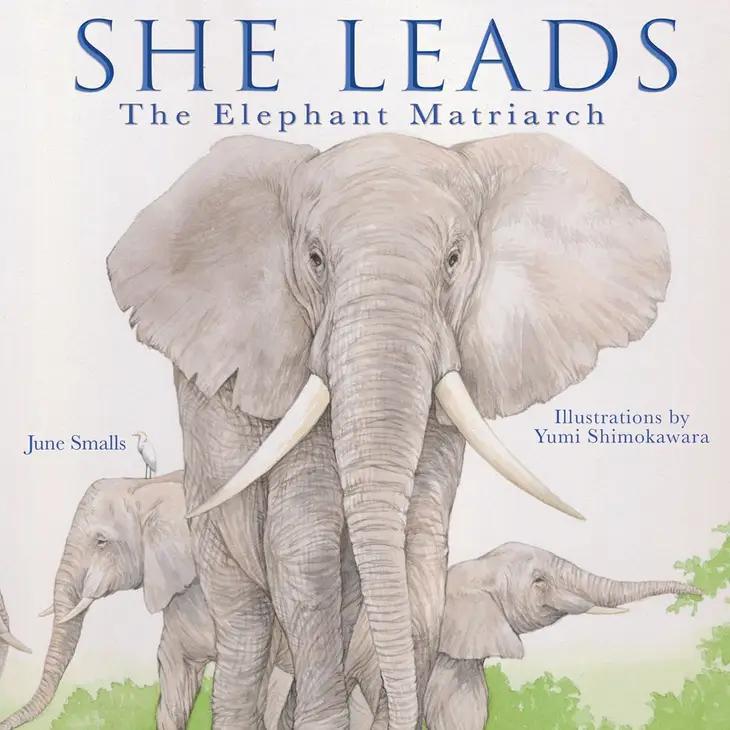 She Leads  The Elephant Matriarch | June Smalls | Hardcover