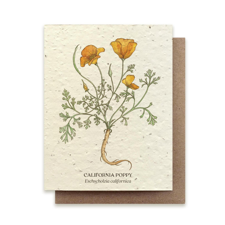 (Bower Studio) Plantable Wildflower Cards