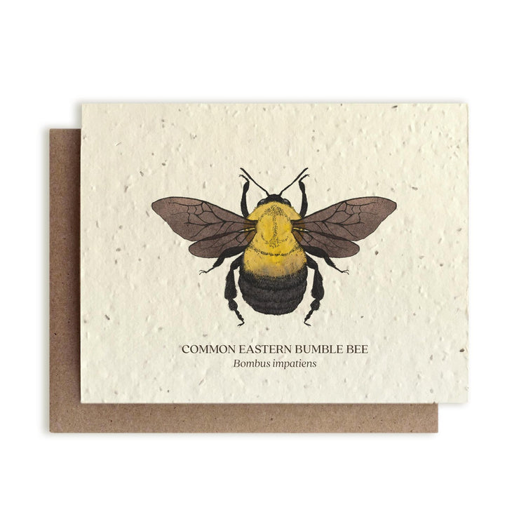 (Bower Studio) Plantable Wildflower Cards