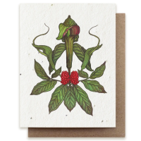 (Bower Studio) Plantable Herb Cards