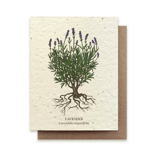 Small Victories |Plantable Wildflower Note Cards